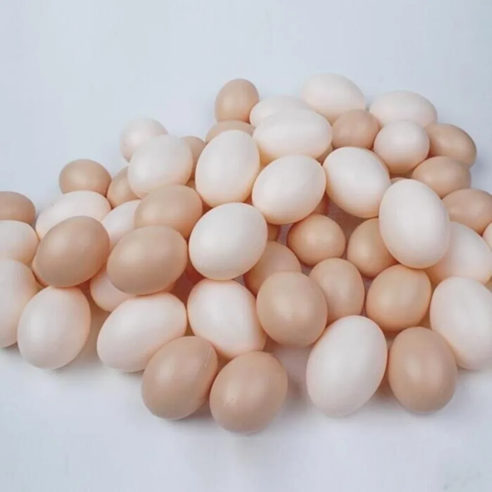 20/10PCS Fake Eggs Simulation Plastic Eggs Poultry Hatch Breeding Artificial DIY Painting Easter Egg Educational Toy