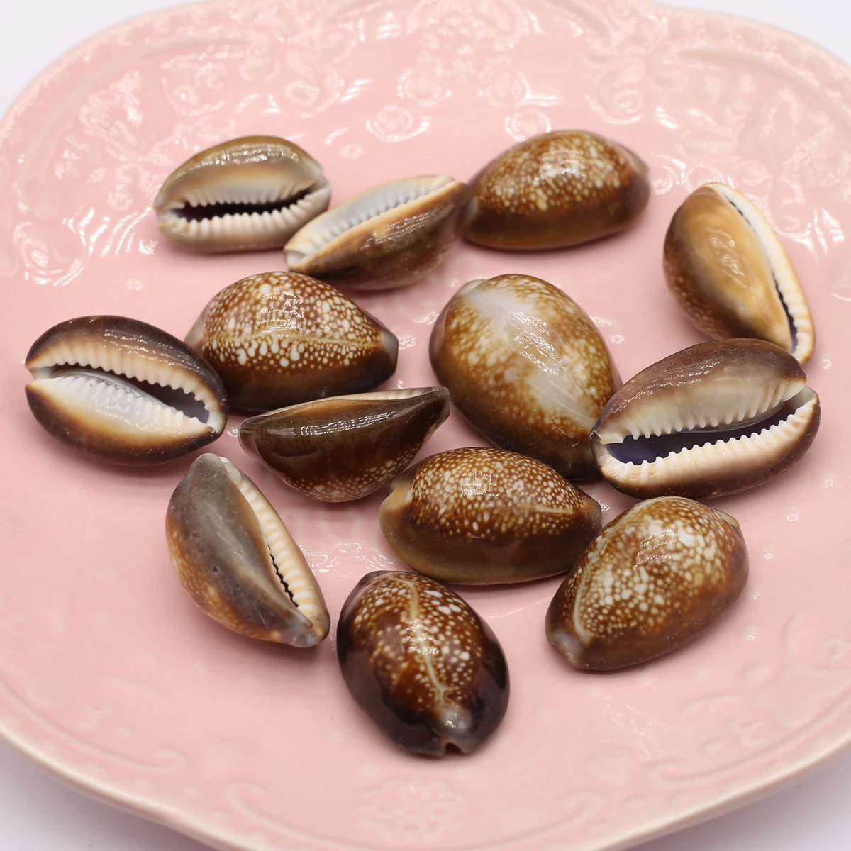 100G DIY Beads Brown SnailBead Without Hole Bathtub Landscaping For Jewelry Making DIY Clothes Accessory