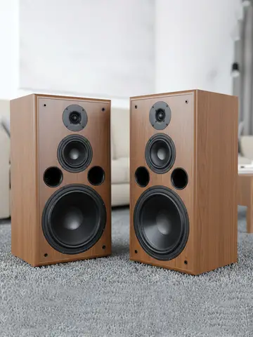 10inch Passive Sound Box 3-Way Bookshelf Speaker 10-60W Loud Speaker 89dB Sensibility 6ohm 12mm Thick Wood For HiFi Home Theater