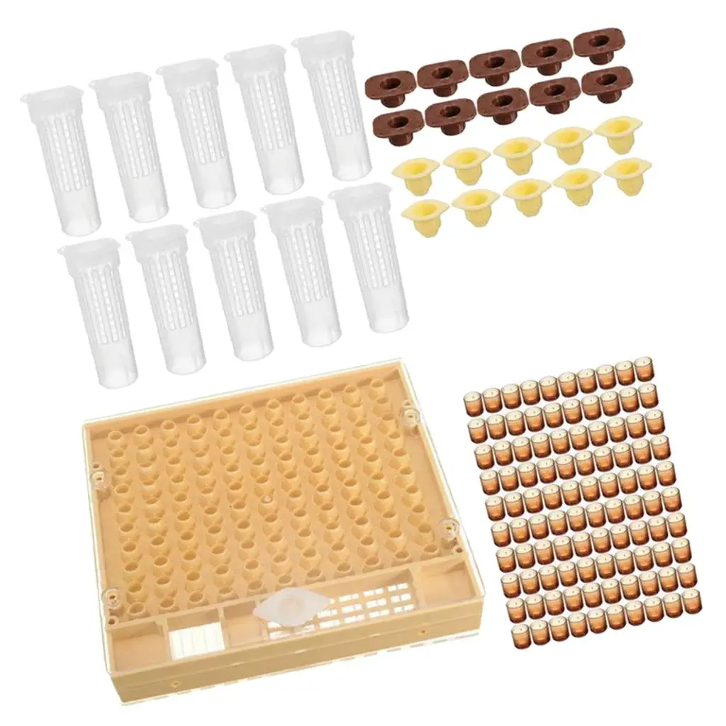Cell Cup Holder and Bar Set Queen Rearing Kit Bee Cage Box for Beekeeping Equipment Breeder Supplies
