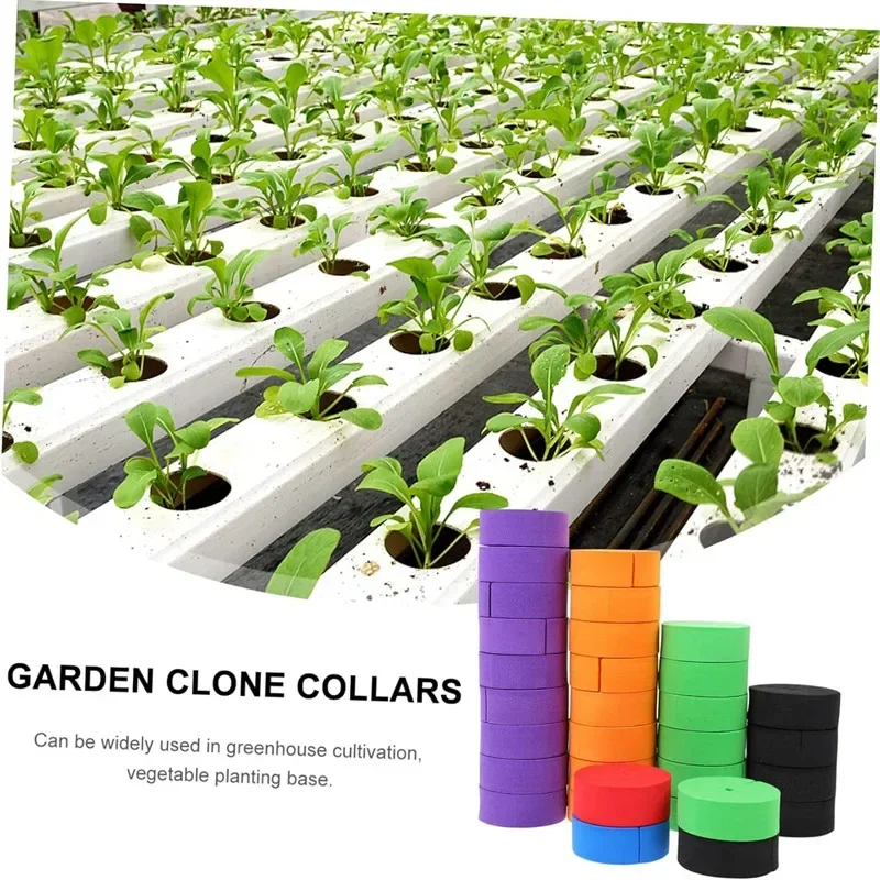 20pcs New Sponge Clone Collars Premium Neoprene Inserts Sponge Block for Hydroponics Cloning Plant Germination Garden Supplies