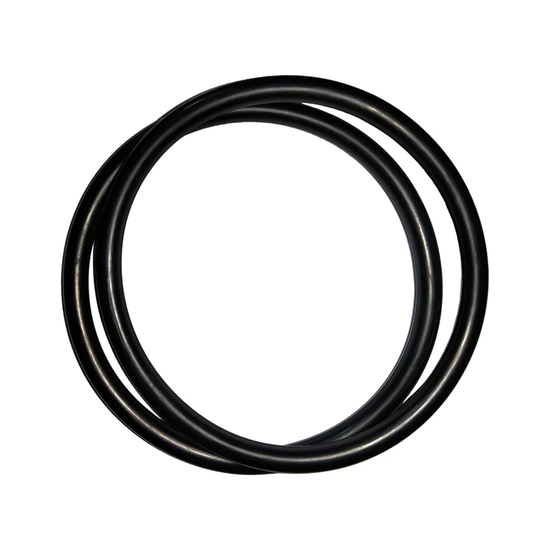 R172009 O-Ring For Pentair Model 300/320 Pool And Spa Chlorinator Lid (6 Pack)