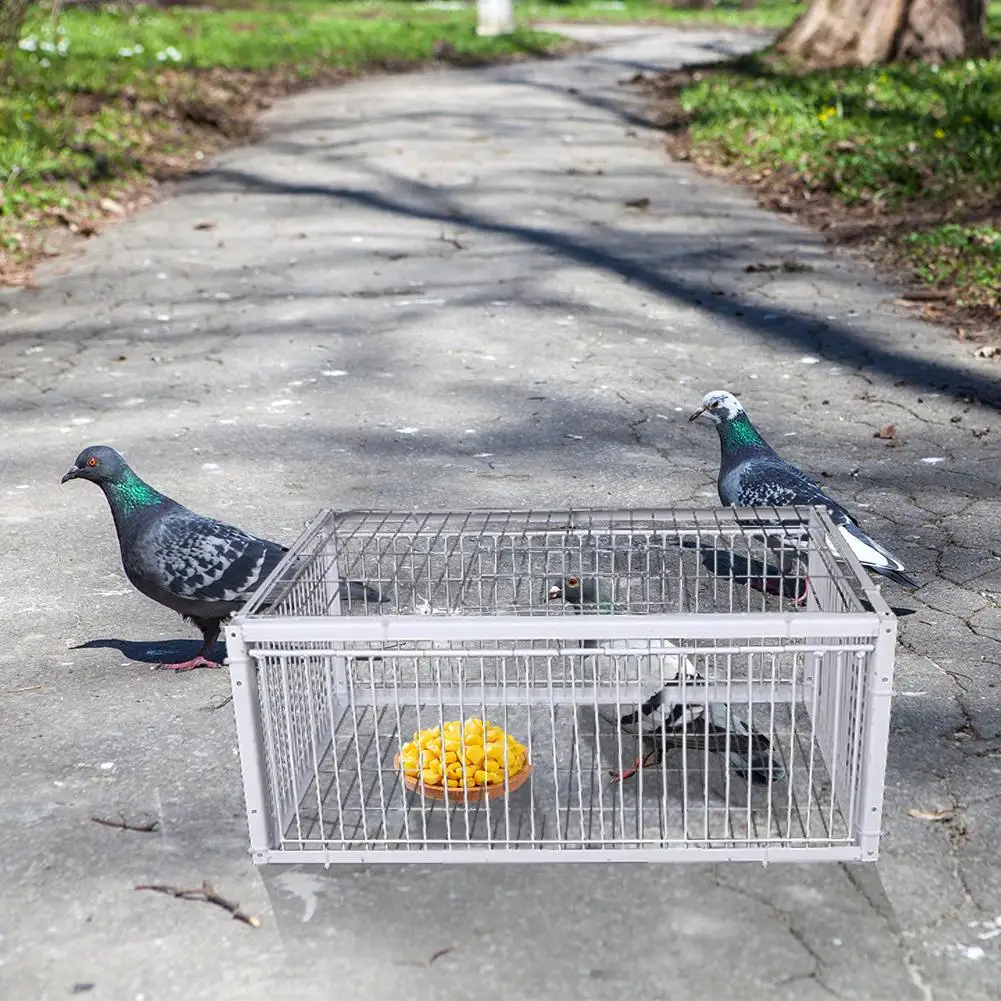 自動捕獲鳥かご-ウサギかご-ネズミかご-入口のみ-無出口-厚型暗号化自動鳩捕獲ポータブル鳥かご
