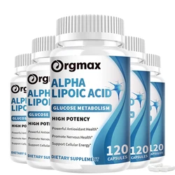 300mg Alpha Lipoic Acid Pills Powerful Antioxidant For Brain and Heart Health Cognitive Function, Relax Nervous, Vegan Capsules