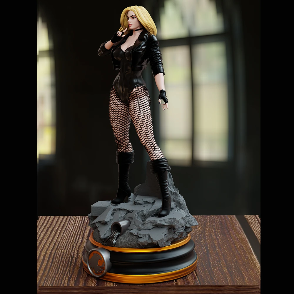 1/24 Beautiful Girl Black Canary 3d Printed Model Resin Unpainted Figure Model Kit Miniature Garage Gk Kits Unassembled Diy Toys