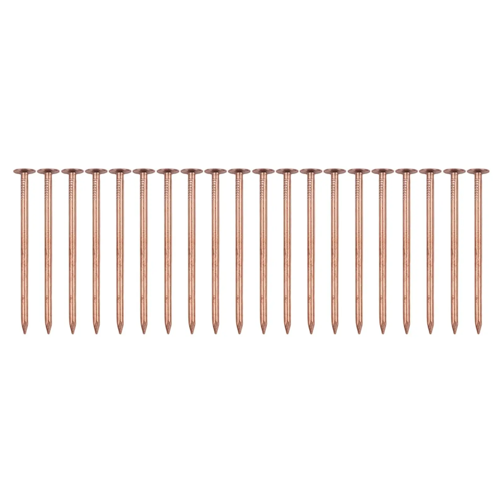 

20 шт. медные гвозди для пней 6575 мм для уничтожения неразливающего инструмента для устранения корней для эффективного садоводства