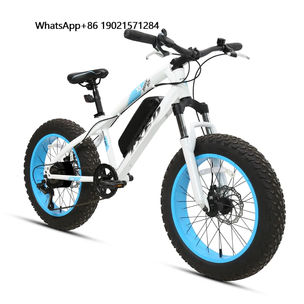 

New Design 20 Inch Children Electric Bike