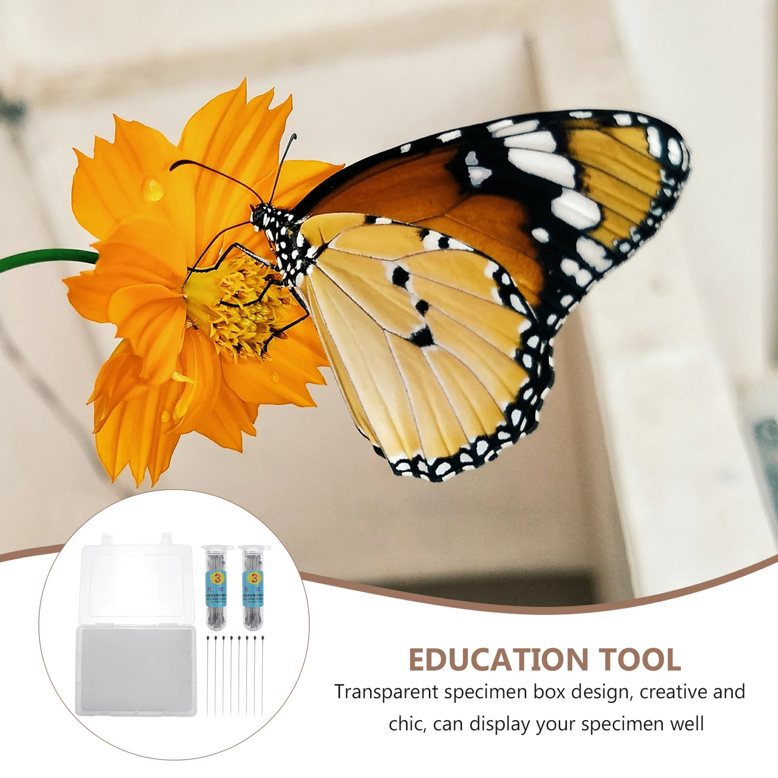 

1Set Specimen Box Clear Transparent Durable Display Case Plant Insect Display Storage Jewelry Organizer Education Tool