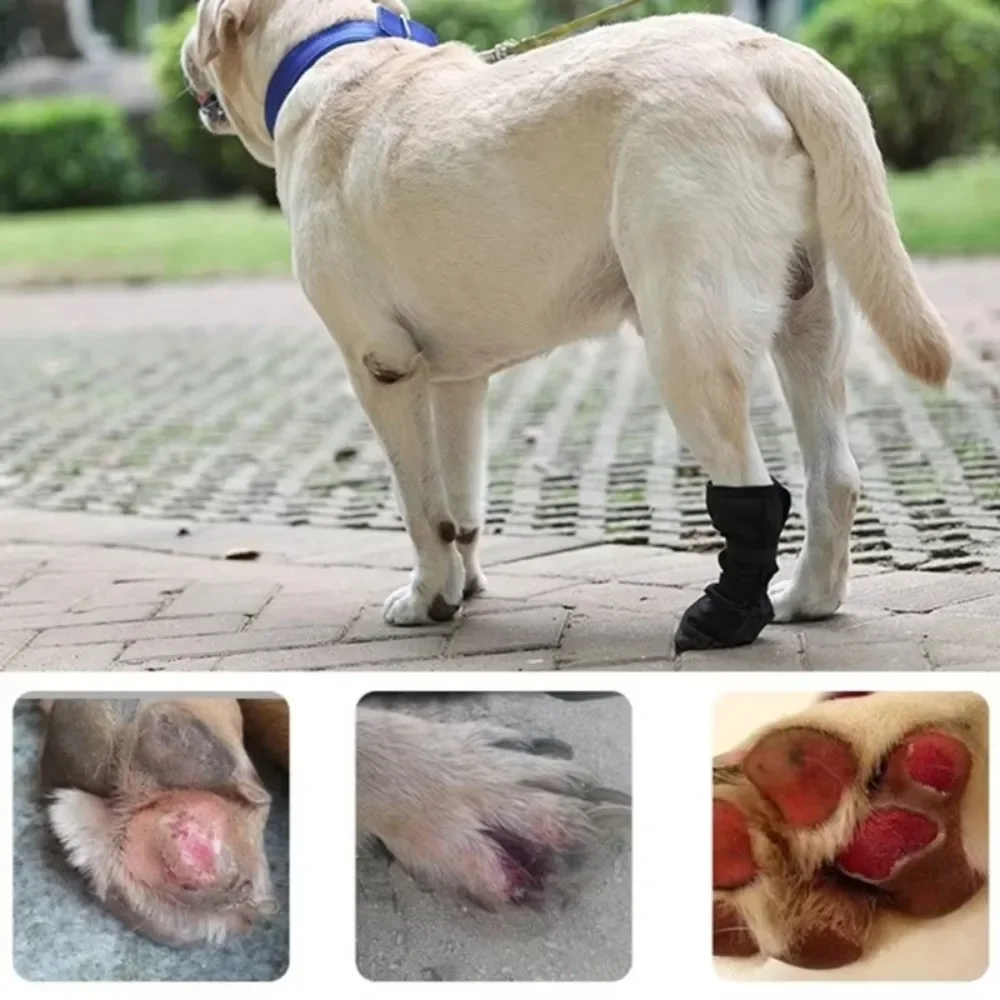 Pet Waterproof Foot Supplies Cover Dog Post-surgery Injury Protection Cover Four Feet Can Be Used Protect Dog Paw Shoe Cover