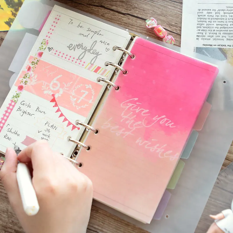 5 Stück rosa A6-Notizbuch-Trennblätter, mattierte Trennblätter, Kartenindexseiten für Ordner, Planer, Buch, Tagebuch, Journal, Schreibwaren