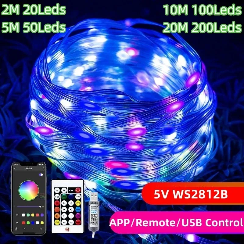 5V USB WS2812 LED String APP Remote Led Fairy Lights Dreamcolor RGBIC Addressable Party Christmas Lights Wedding Decoration IP67