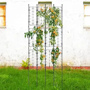 أفضل 10 مبيعات لتسلق الأشجار - رقم 9