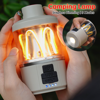 Portable Camping Light Type-C Rechargeable Atmosphere Light 3 Modes Stepless Dimming Outdoor Garden Hanging Tent Lantern