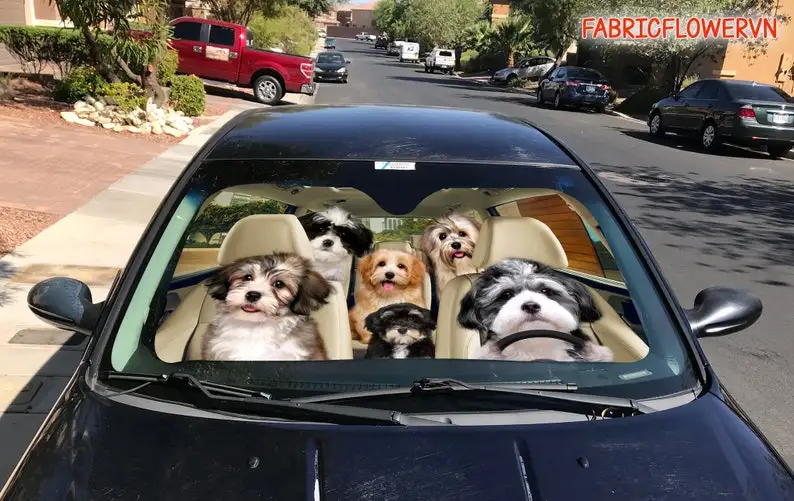 Havanese Car Sunshade, Havanese Car Decoration, Havanese Windshield, Dog Lovers, Dog Car Sunshade, Gift For Mom, Gift For Dad