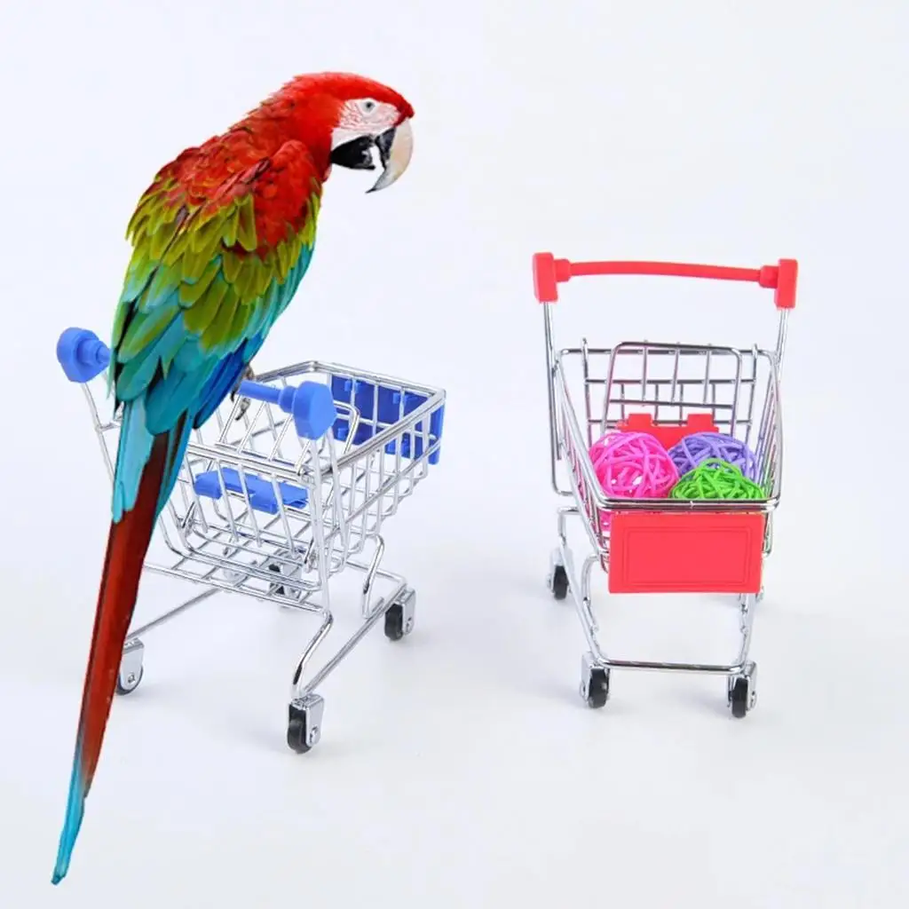 Parrot Intelligence Toy Skateboard Basketball Stacking Rings Mini Shopping Cart