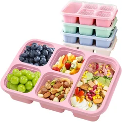 5 Compartment Reusable Bento Box Leak-Proof Portable Food Storage with Secure Lid Ideal for School Work Camping and Picnics