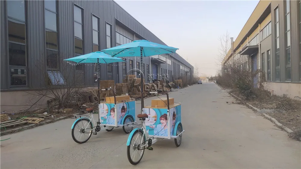 Outdoor Ice Cream Bike With Freezer Mobile Fast 3 Wheel Electric Tricycle Ice Lolly Popsicle Food Vending Cart