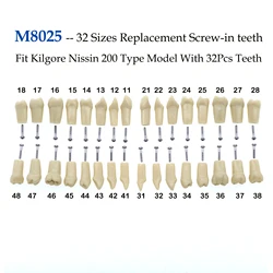 Praktyka dentystyczna wypełniająca wkręcany zamiennik Model zębów M8025 Fit Kilgore Nissin 200 typ Model Typodont z 32Pcs zębami