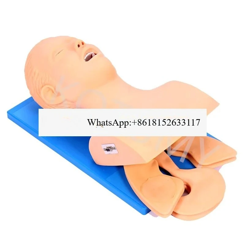 نموذج تدريب القزم التنبيب للبالغين، نموذج تدريب الرغام البشري الإلكتروني للبالغين، جهاز تدريب إدارة مجرى الهواء