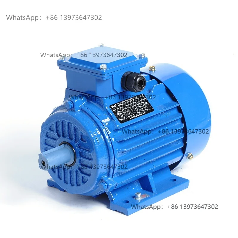 IE4 Series Aluminum Housing Super Premium Efficiency Three Phase Electric AC Asynchronous Induction Motor 2 Poles 0.75KW