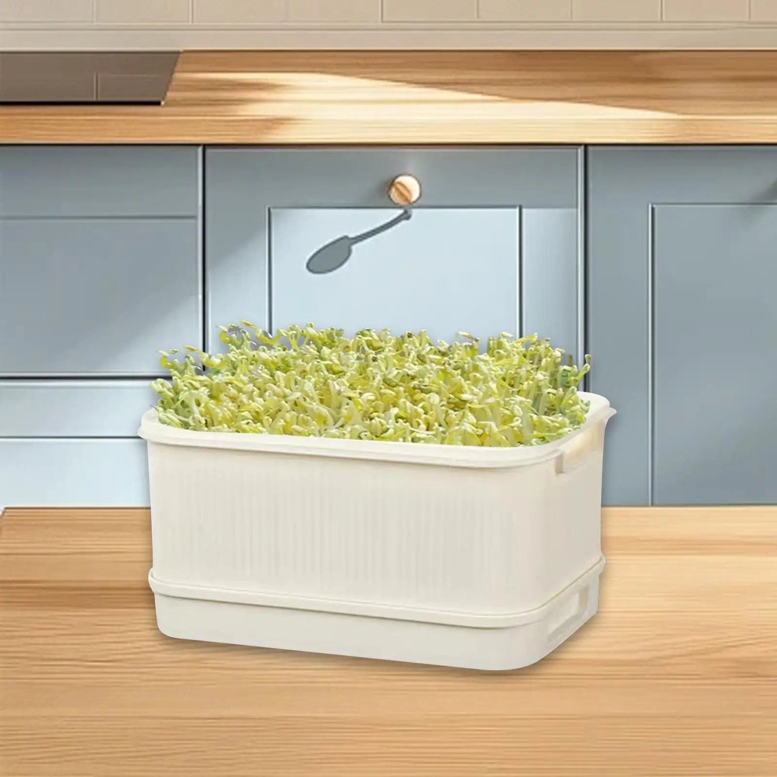 صينية براعم ذات سعة كبيرة ومتعددة الاستخدامات مع أغطية صينية إنبات حاوية زراعة للحديقة الداخلية والمكتب المنزلي والخارجي #4