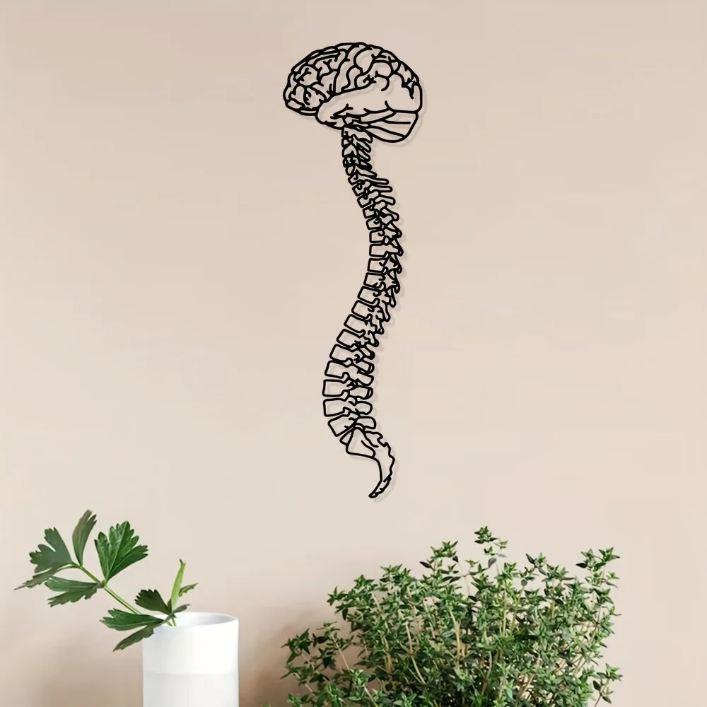 Spine Anatomy Metal Wall Art, Iron Educational Decor for Clinic Office Wall Decor