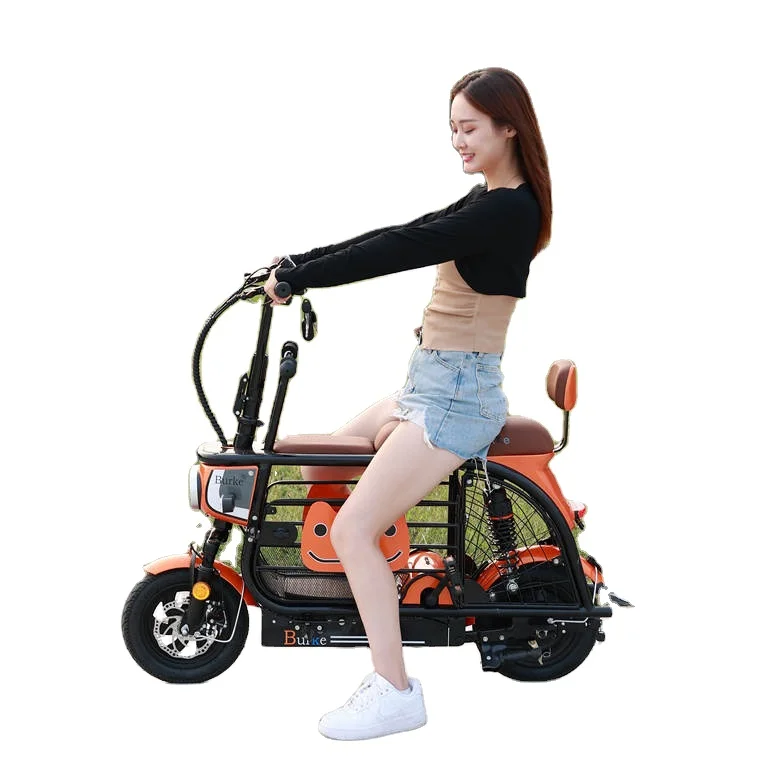 

Популярный складной трехколесный электрический велосипед для взрослых, 350 Вт, 36 В, 10 Ач, высококачественный, для перевозки домашних животных