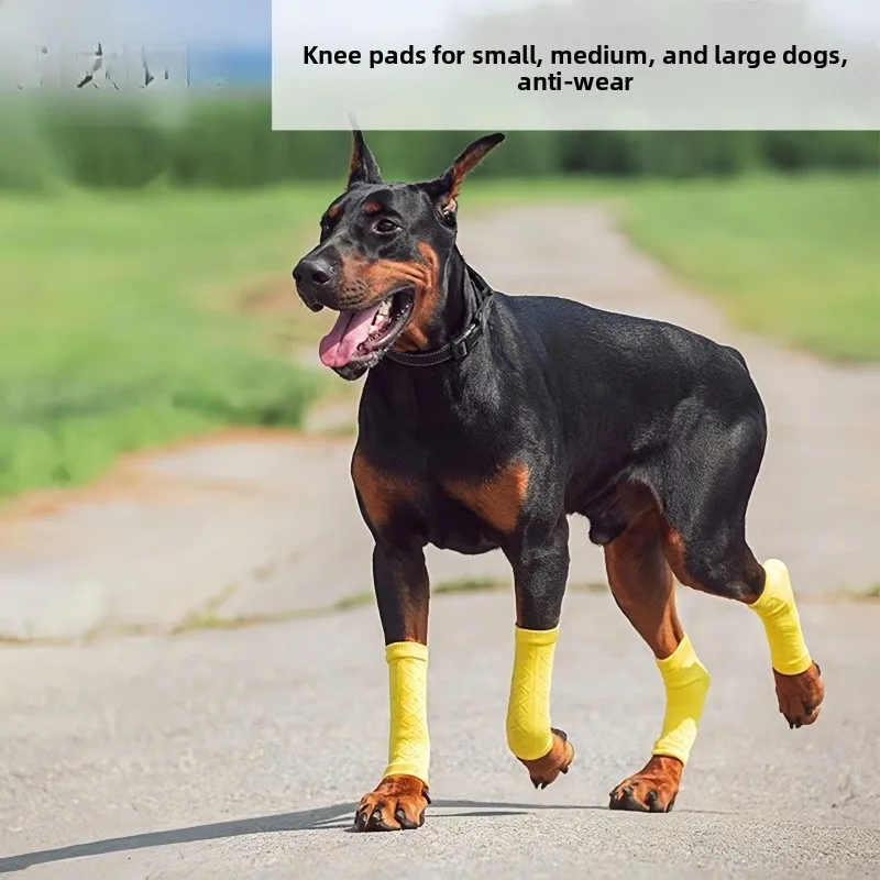 Large Dog Joint Pro…