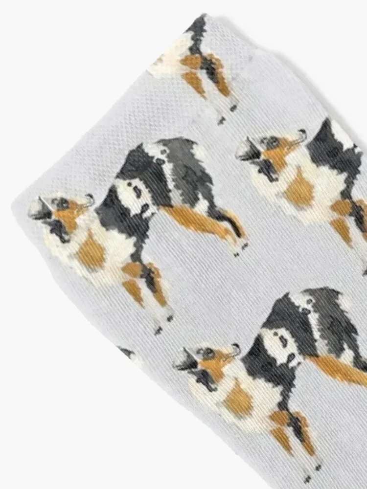 Australian Shepherd Illustration Socks designer brand Children's soccer anti-slip New year's Man Socks Women's