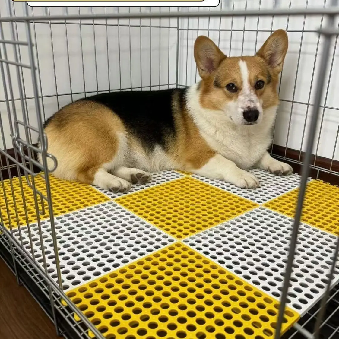 Pet Cage Bottom Net Pad Dog Cage  Cage Rabbit Cage Anti-Bite Non-Slip Pet Foot Pad Comfortable Soft Material
