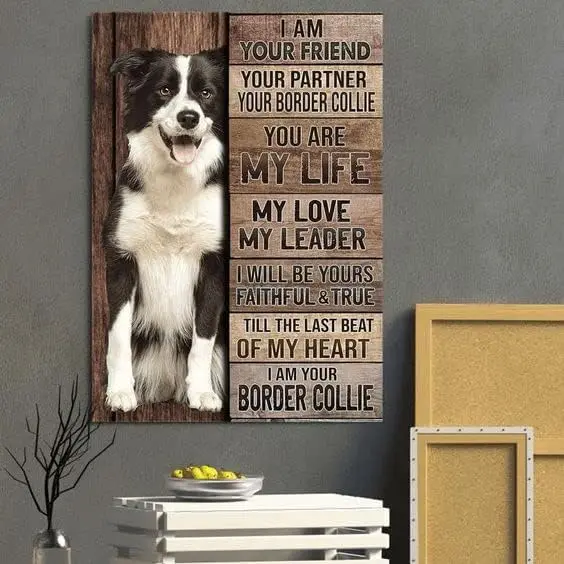 Metal Sign I Am Your Friend Your Partner Your Border Collie Vintage Kitchen Signs Wall Decor Aluminum Plague Signs Home