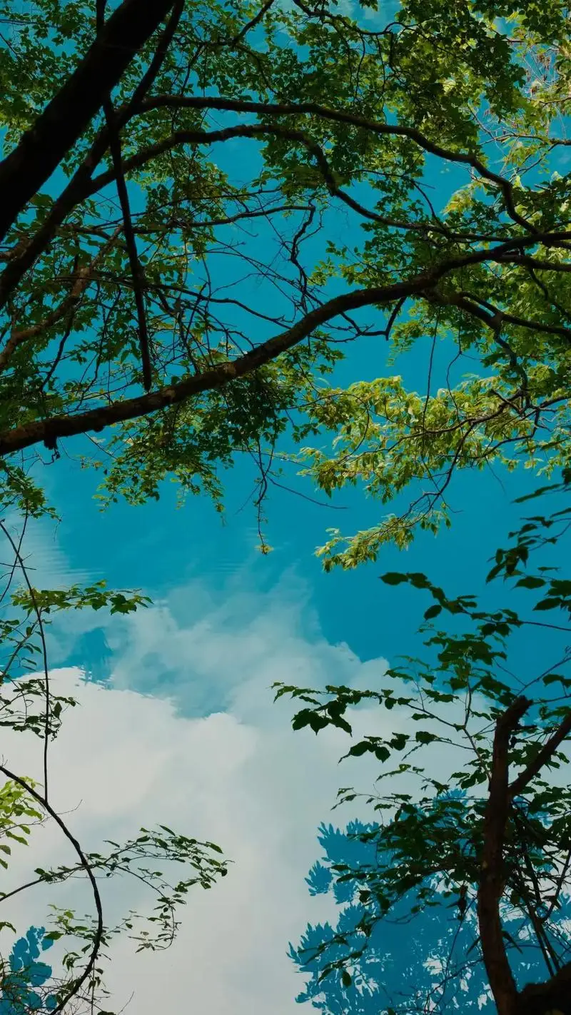 

300ml\330ml 1pcs Golden Edge Water Cup Household Relief Heat-resistant Cup Beverage Cocktail Martini Glass Cups Cocktail Tool