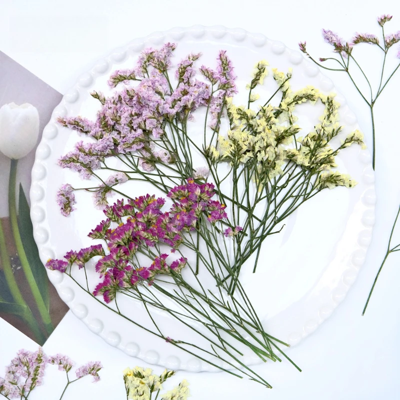 6pcs,Real Crystal Grass Pressed Dried Flowers DIY Craft Supplies for Invitation Envelope Decoration Resin Photo Frame Ornaments