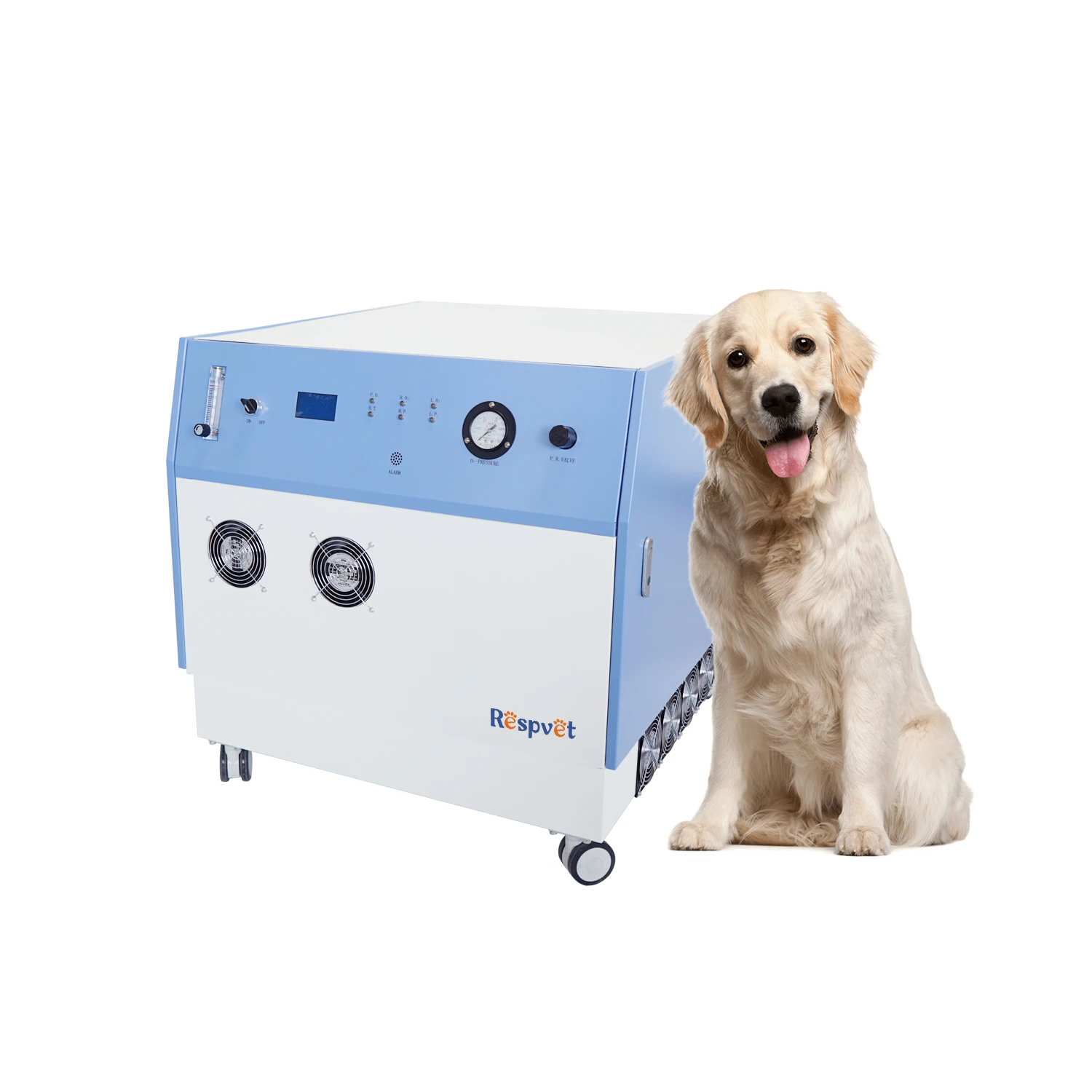 Pet Operation High Pressure Medical Grade Oxygen Plant JAY-20-4.0 for Veterinary Clinic ICU with High Purity O2