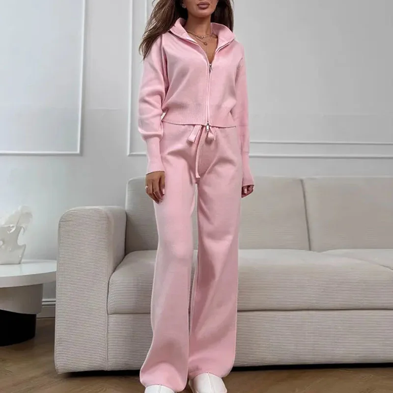 

Женская однотонная спортивная одежда для отдыха, осенне-зимние новые костюмы из двух предметов, модные комплекты курток и брюк с воротником-стойкой и длинными рукавами