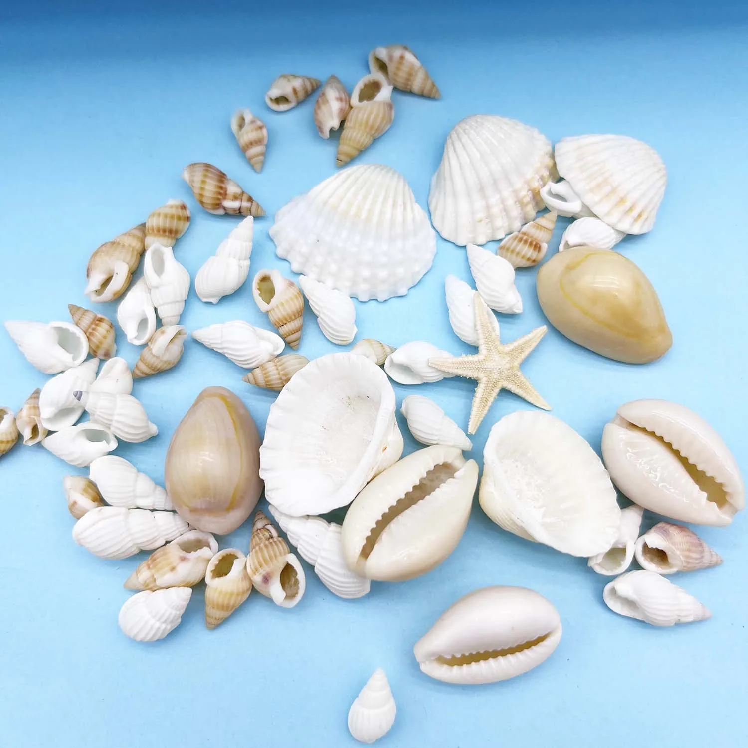 Thumbnail 2 - #31 Latest Vase Fillers Offers