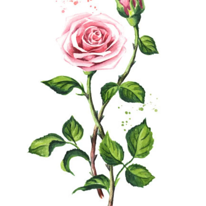 

Arm Steering Components Steering Block RC Car Upgrades Parts Front Rear For MJX H16 16207 16208 16209 16210 1/16