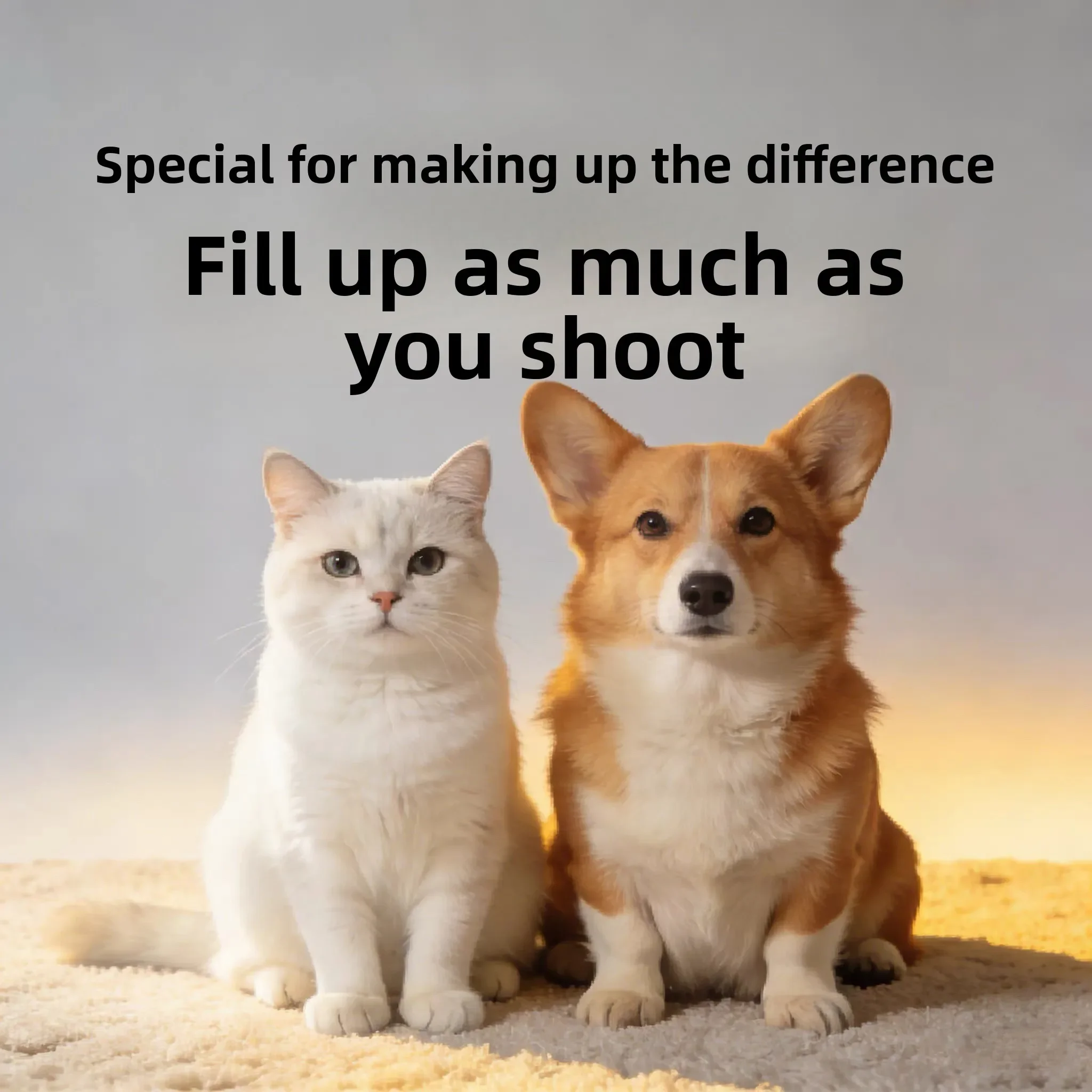 

Make up the price difference special auction - make up the freight difference/deposit balance
