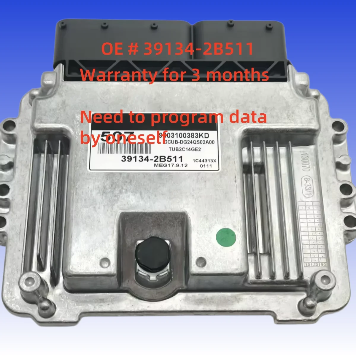 High quality  39134-2B511 391342B511 Car Engine Computer Board Electronic Control Unit MEG17.9.12 for Kia