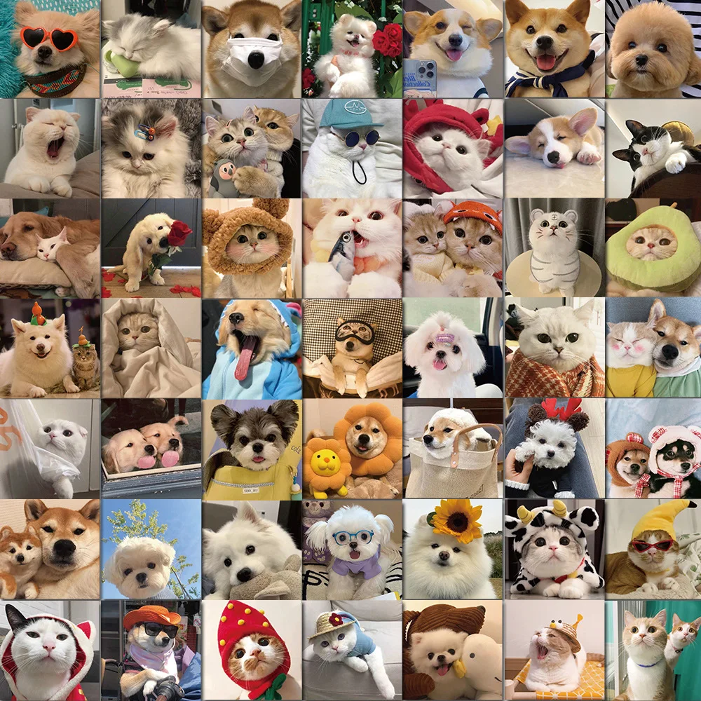 52PCS Cute Dog Cat Stickers PVC Waterpoof Decals DIY Laptop Phone Luggage Stationary Funny Animal Sticker Toys Gift