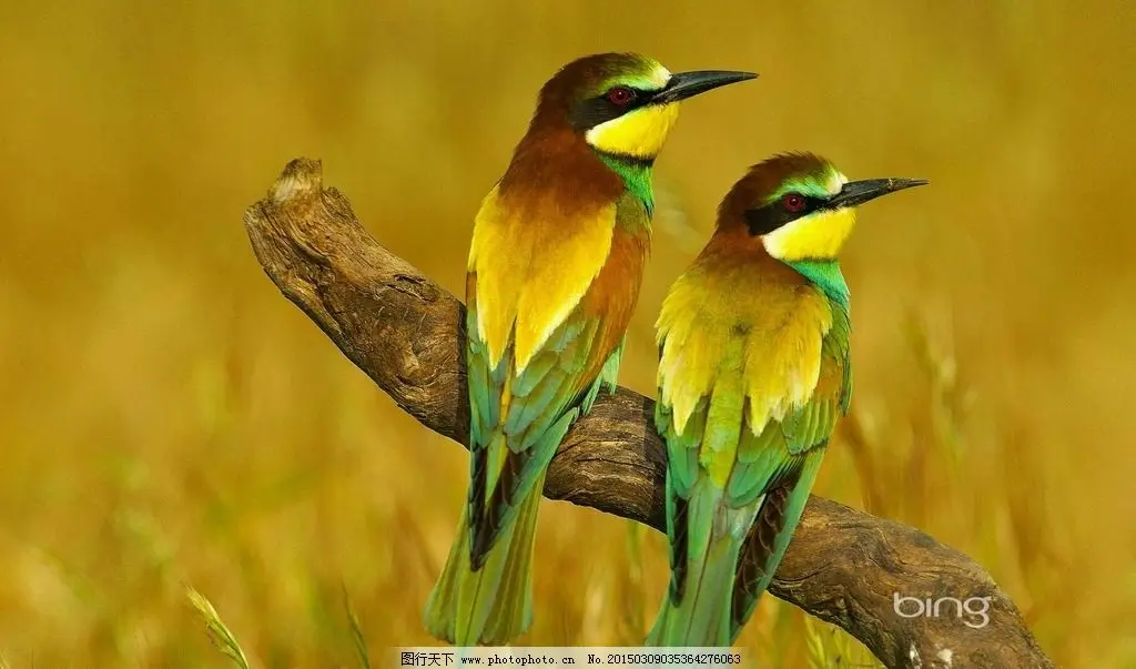 

Система настройки радиоуправляемых моделей 1/10, профессиональный инструмент для гоночных автомобилей SK-600069