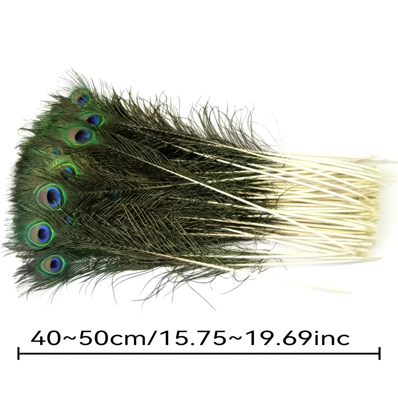 

10Pcs Natural Peacock Tail Feathers 40-50CM Real Feather Plumes for DIY Wedding Party Room Table Scene Decor