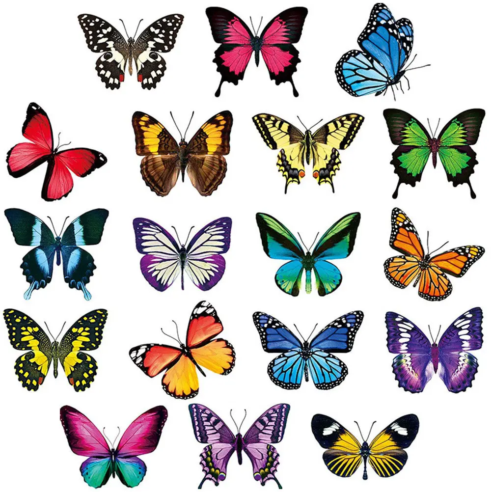 1Set Clings Window Stickers with Special Reflective Ink Exquisite Designs Prevent Collisions for Birds People Uv