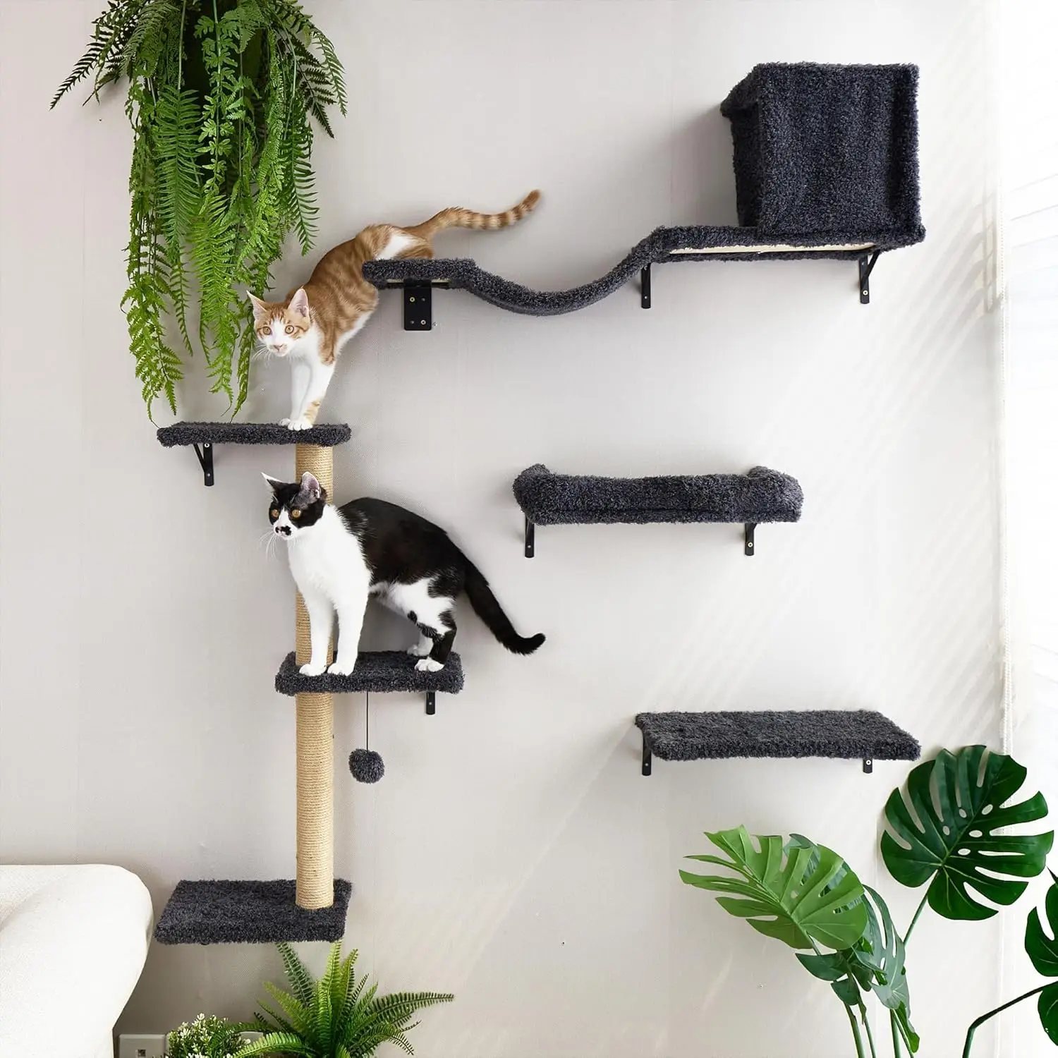 

Modern 4-in-1 Cat Furniture Set Wooden Climbing Wall Scratching Post Drywall Stable Safe Cat Wall