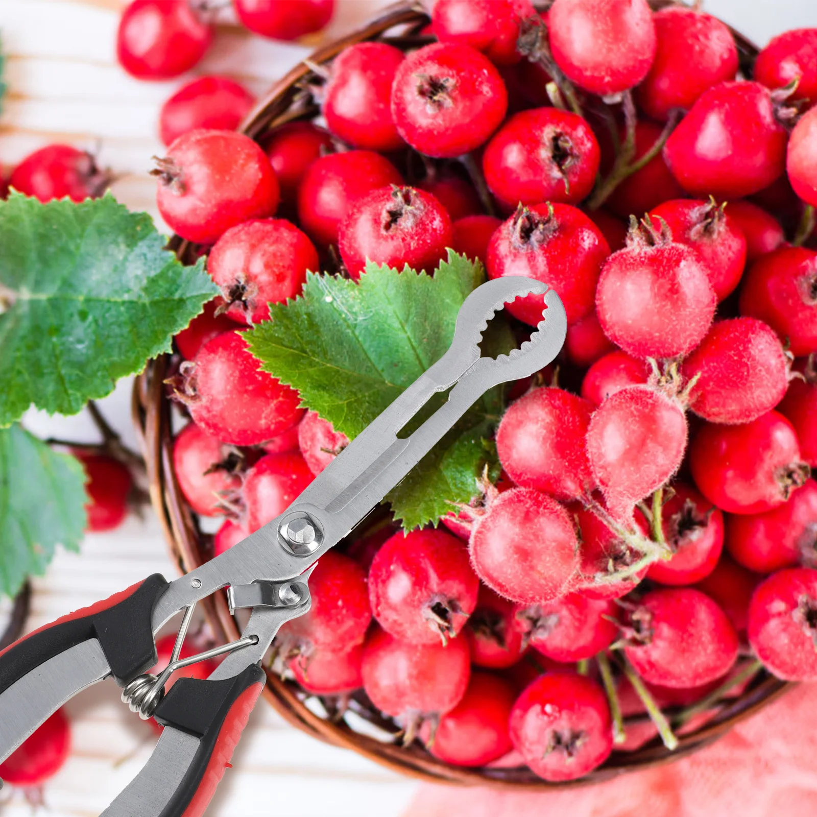 

1pc Stainless Steel Core Remover Easy Clean Fruit Fruit Pitter Pitter Kitchen Gadgets For Home Restaurant Use