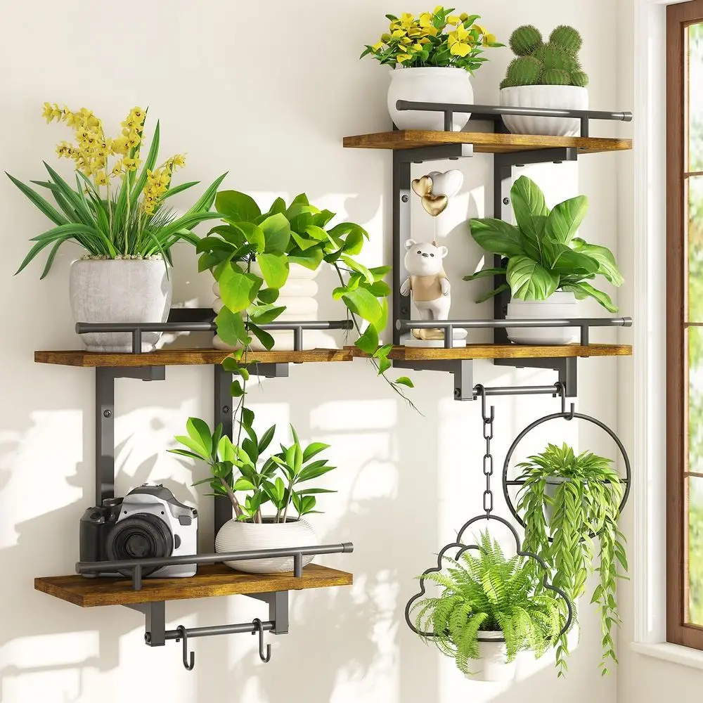 

Двухуровневые настенные полки для дома с 4 крючками для подвешивания растений, компактная подставка для демонстрации в гостиной или спальне (для цветочных горшков)