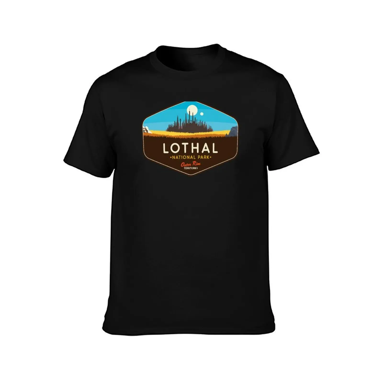 Lothal National Park T-Shirt, Summer Casual Cotton Tee, Oversized Streetwear Tops, Vintage Graphic Print, Loose Fit Short Sleeve
