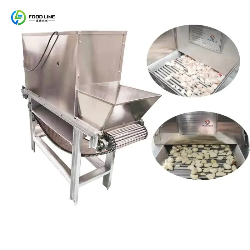 Customized 304 Stainless Steel Electric Garlic Peeling Machine Automatic Garlic Peeler