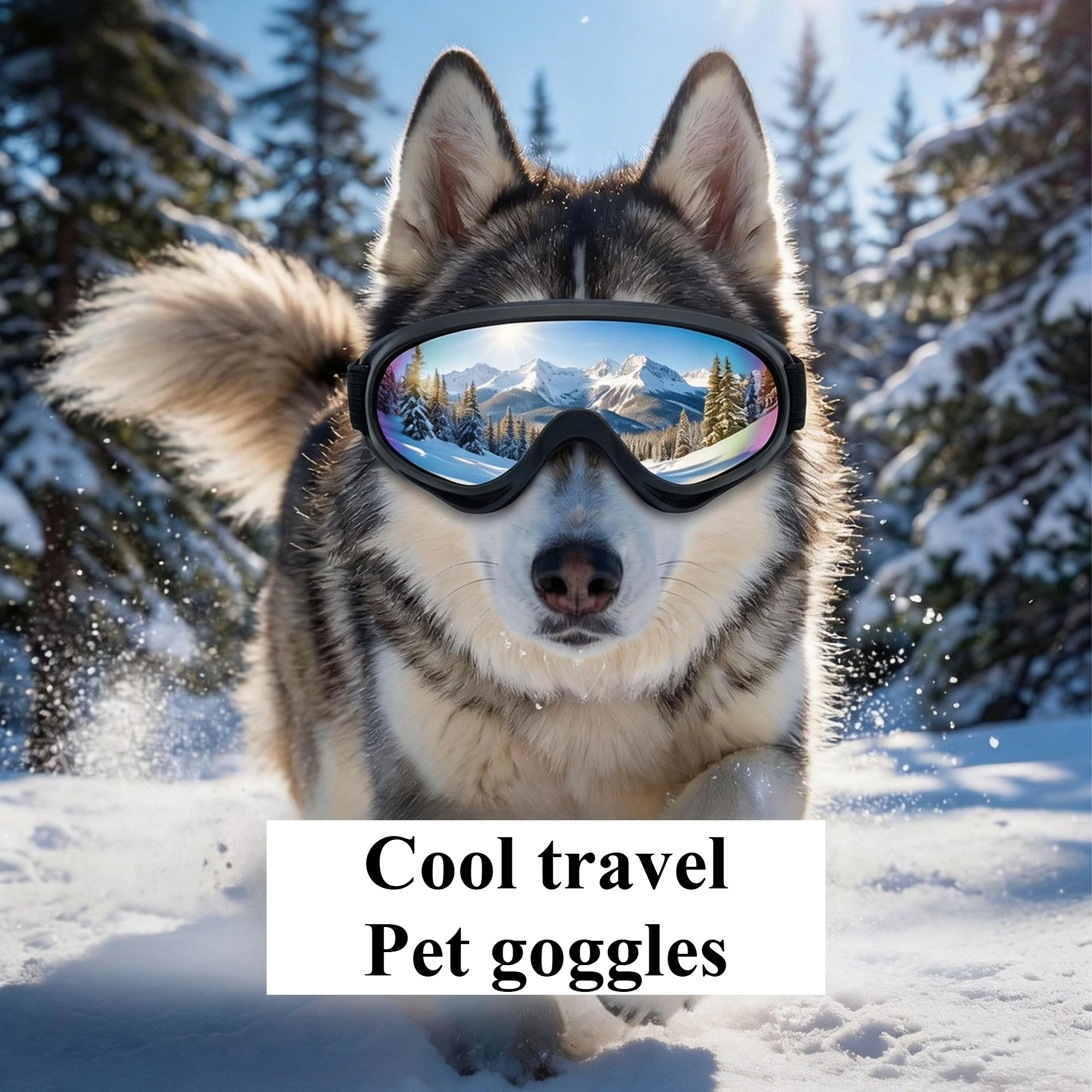 Large Pet Goggles Golden Fur Dog Goggles Sunglasses Windproof Goggles Pets Decorative Headwear Dogs Accessories
