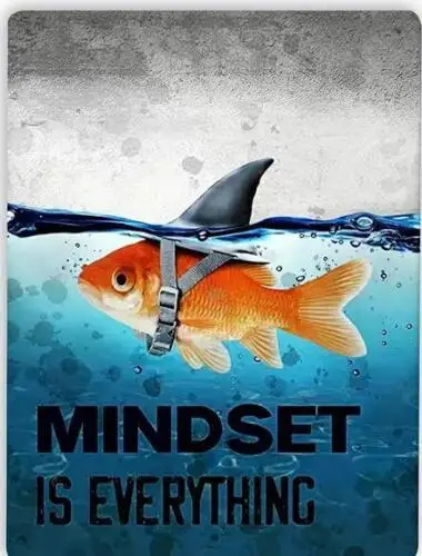 MIND SET IS EVERYTHING MOTIVATIONAL METAL TIN SIGN WALL DECOR ART FISH SHARK sign